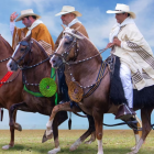 La efeméride internacional destaca la influencia de este animal en la evolución humana, desde la antigüedad hasta la actualidad, resaltando su aporte en tradiciones, arte, trabajo rural y terapias asistidas (Andina)
