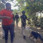 Desde los primeros días de la desaparición de Brianna Genao las autoridades han estado buscándola con perros. (Fuente externa).