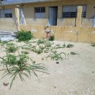 Mal estado de escuela impide inicio de docencia por segundo año en Bienvenido Manoguayabo