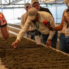 El programa “Café Creciente” es parte de las iniciativas de la empresa