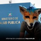 Fenómeno therians gana popularidad en RD