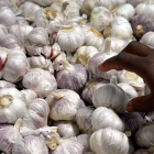 Productores de ajo