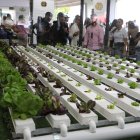 La feria se desarrolla en la Ciudad Ganadera.