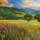 8 curiosidades de abril que probablemente no conocías