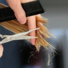 Imagen de referencia