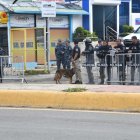 Unidades caninas (K9) del cuerpo policial. Fuentes externas
