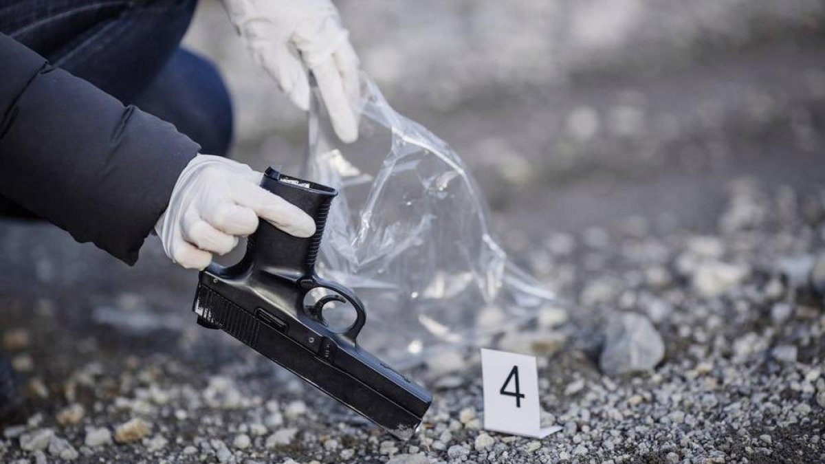 Tasa de homicidios cae a 7.16 y marca uno de sus niveles más