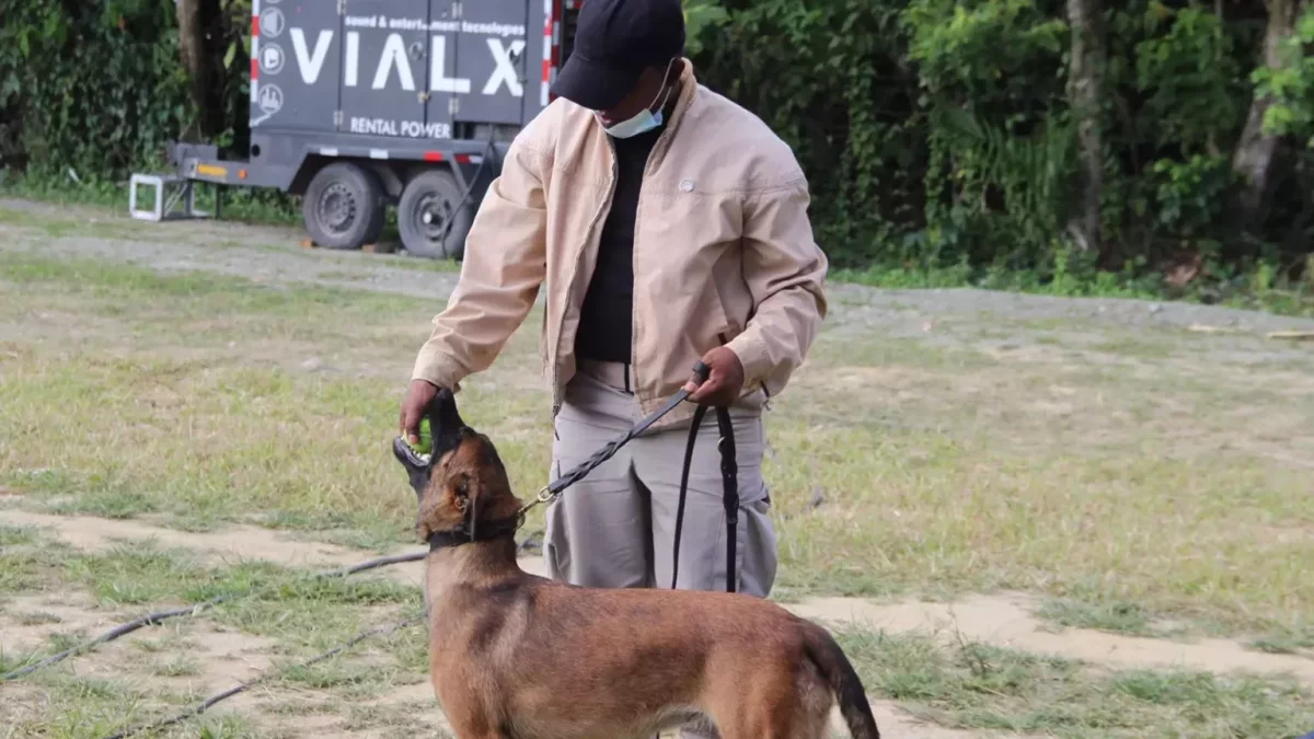 Ministerio Público crea unidad canina para buscar desaparecidos y cadáveres