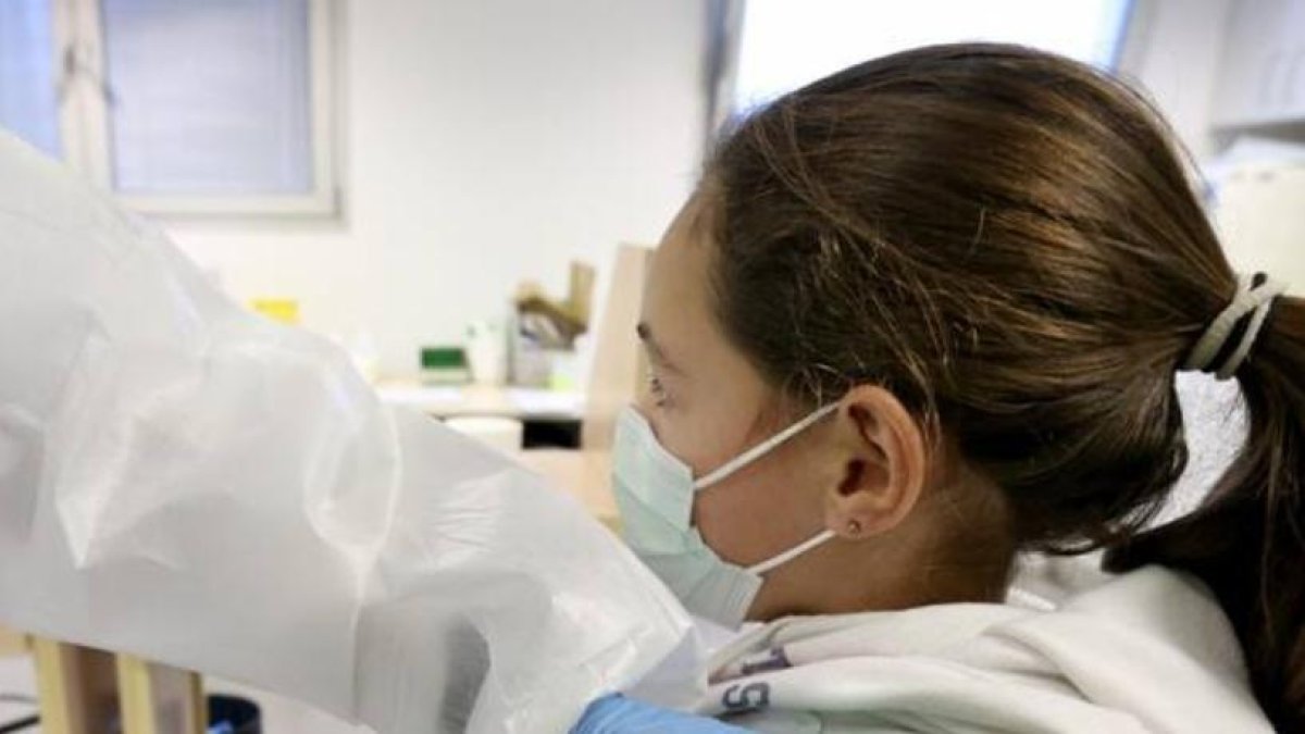 Ante  virus influenza recomienda vacunación.