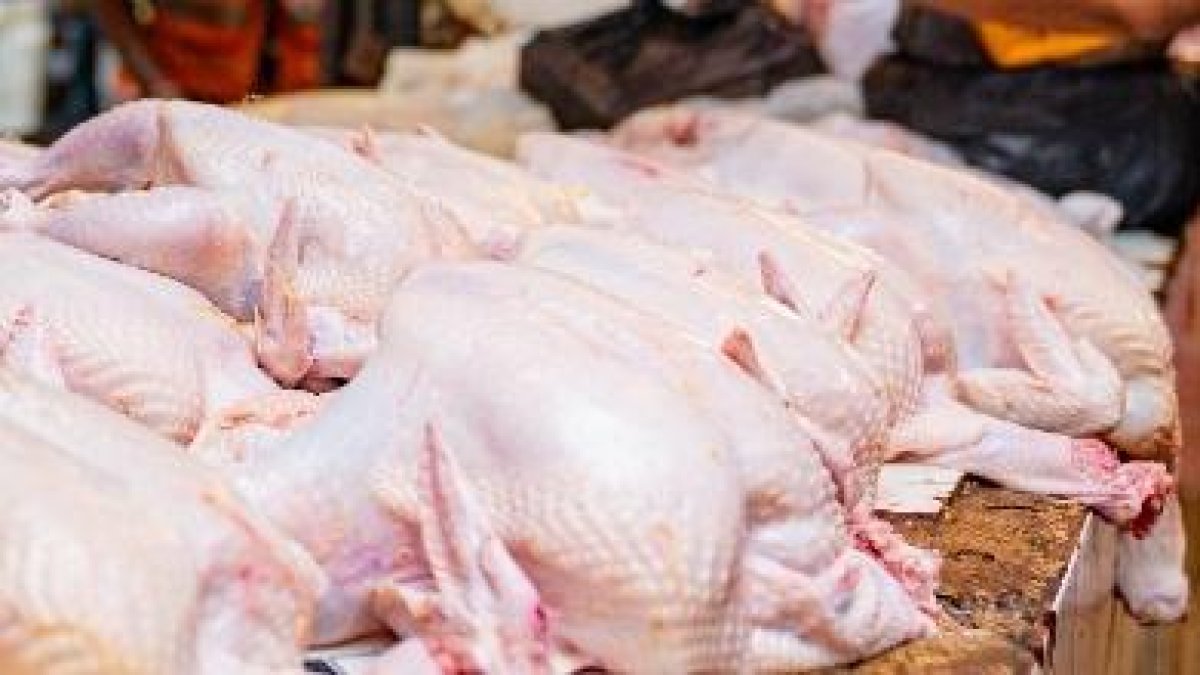 Aún se vende a RD$100