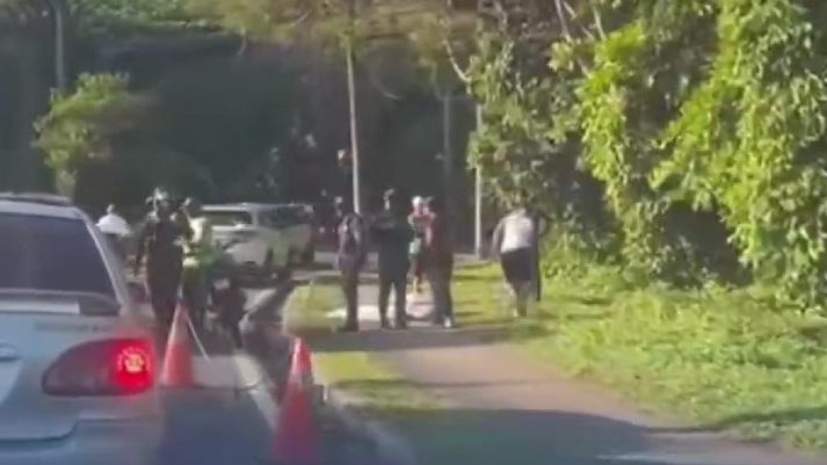 Hallan hombre muerto en acera del Jardín Botánico