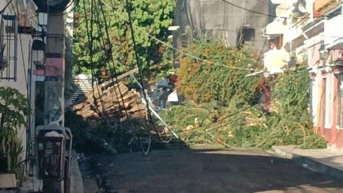 Lluvias derriban árbol en la Ciudad Colonial y bloquean tránsito