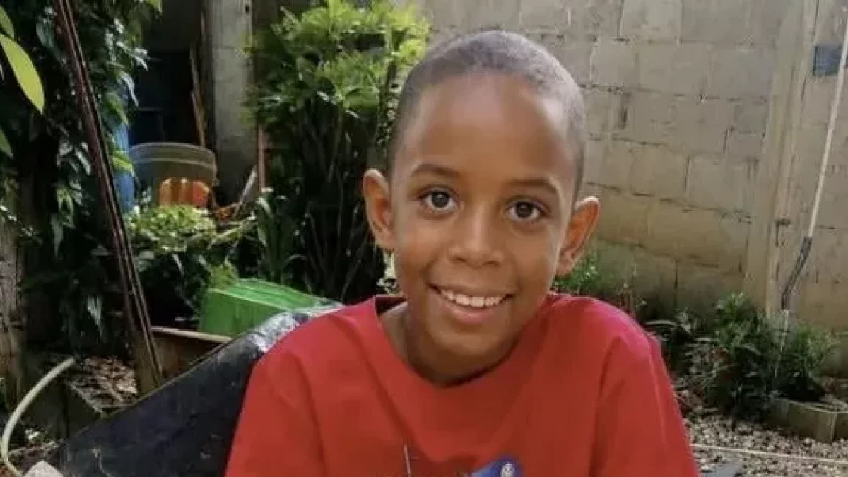 El niño iba a denunciar el presunto robo de unos peces betta, según dijeron los familiares.