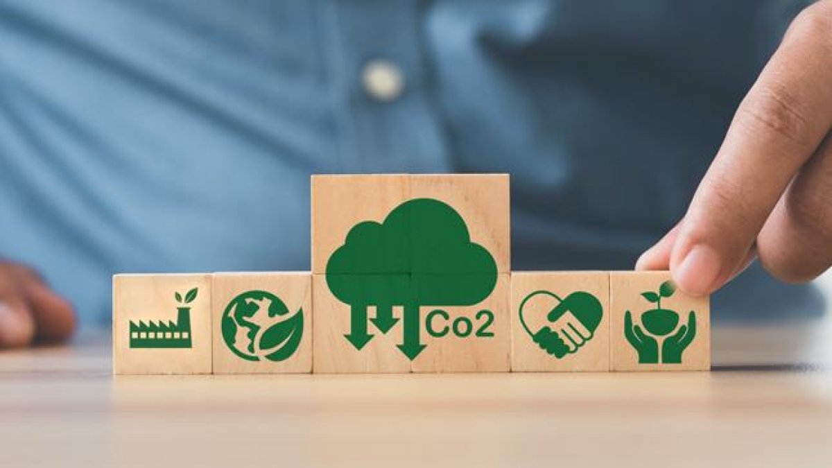 Créditos de carbono y sostenibilidad corporativa