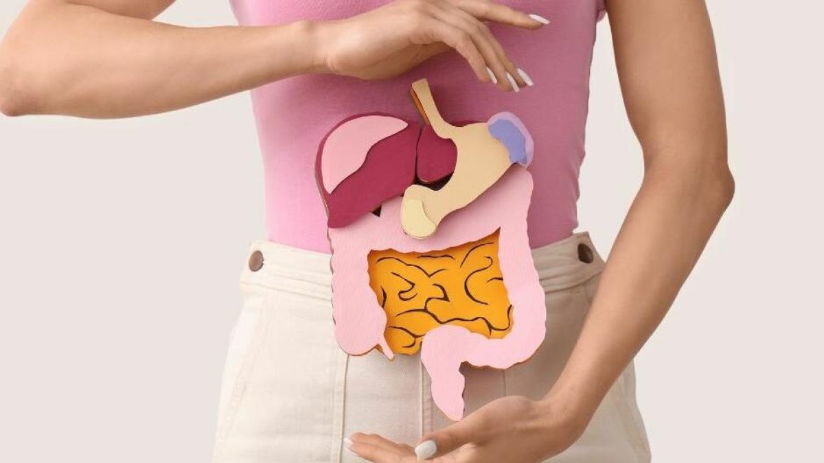 Día Mundial de la Salud Digestiva: Claves para cuidar tu intestino en 2026