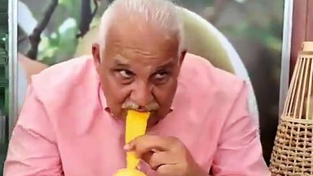 Ni Jaime David se resistió: fue captado comiendo mango en Baní y se compara con “un monito en el zoológico”