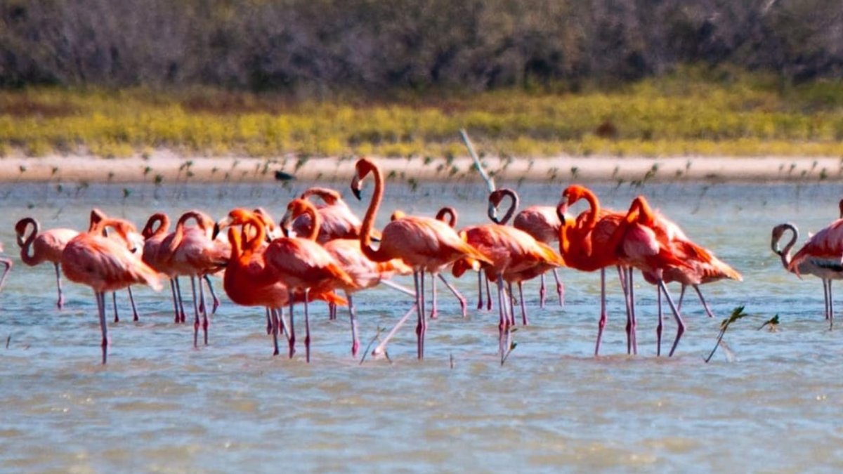 Pedernales: 68 años en la dura batalla de un mejor porvenir