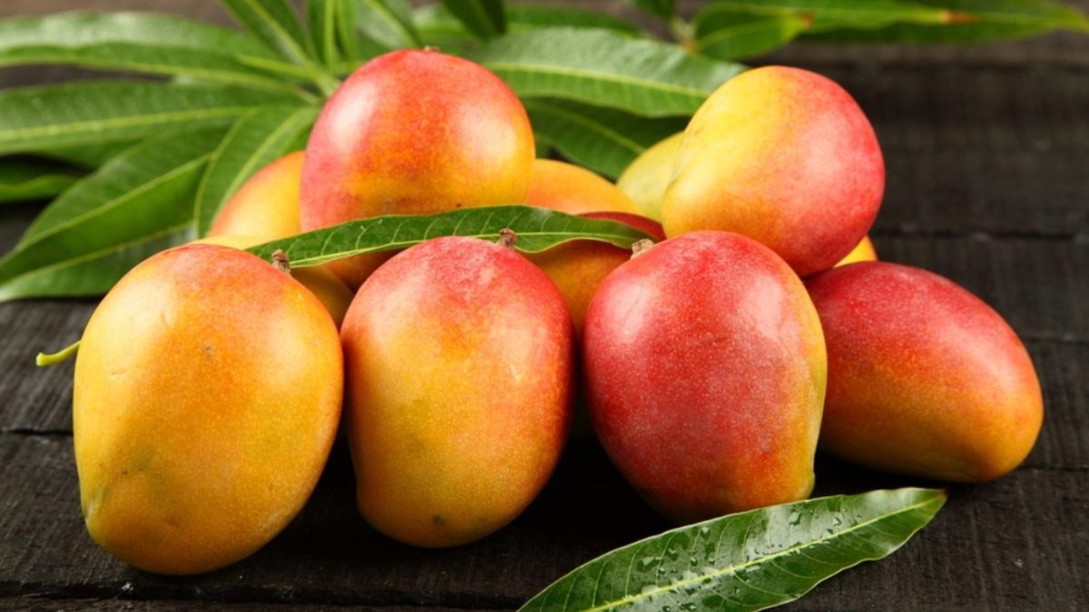 ¡Mango! Tiempo de aprovecharlo