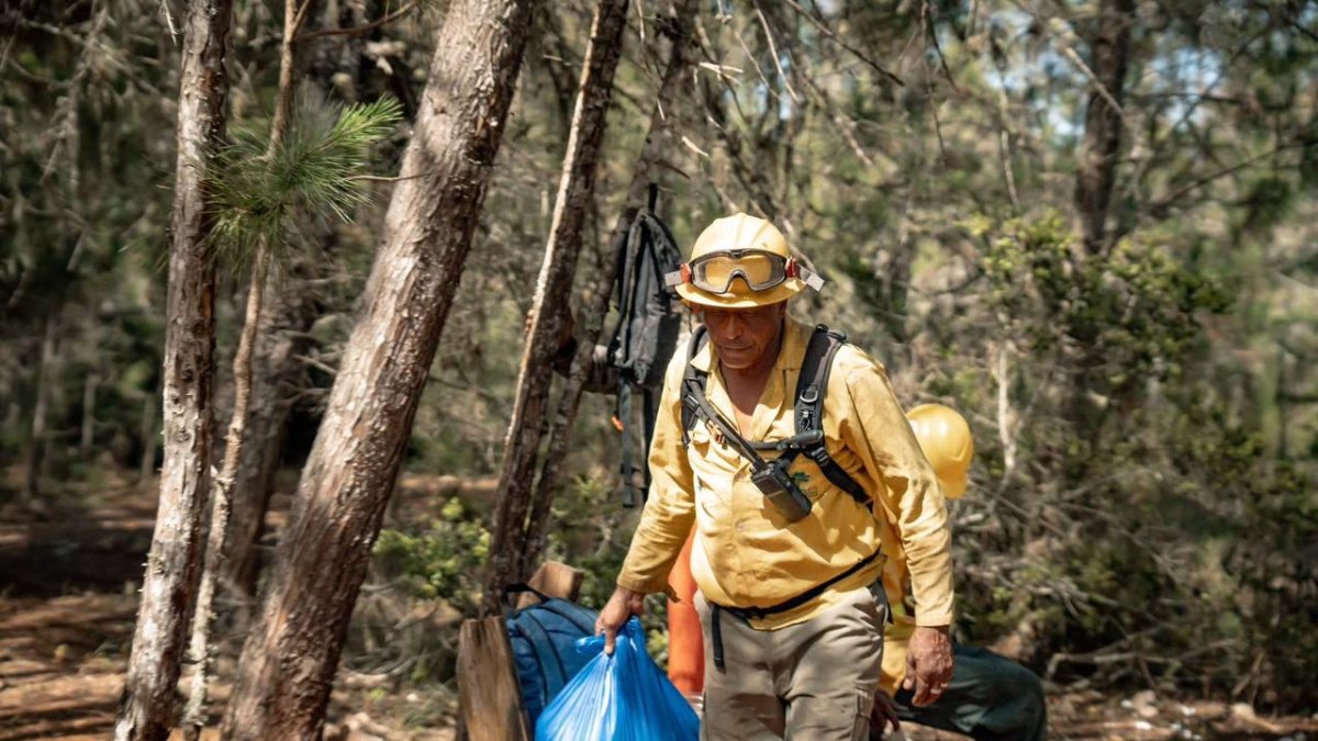 Incendio en Sierra de Bahoruco queda controlado en un 99%