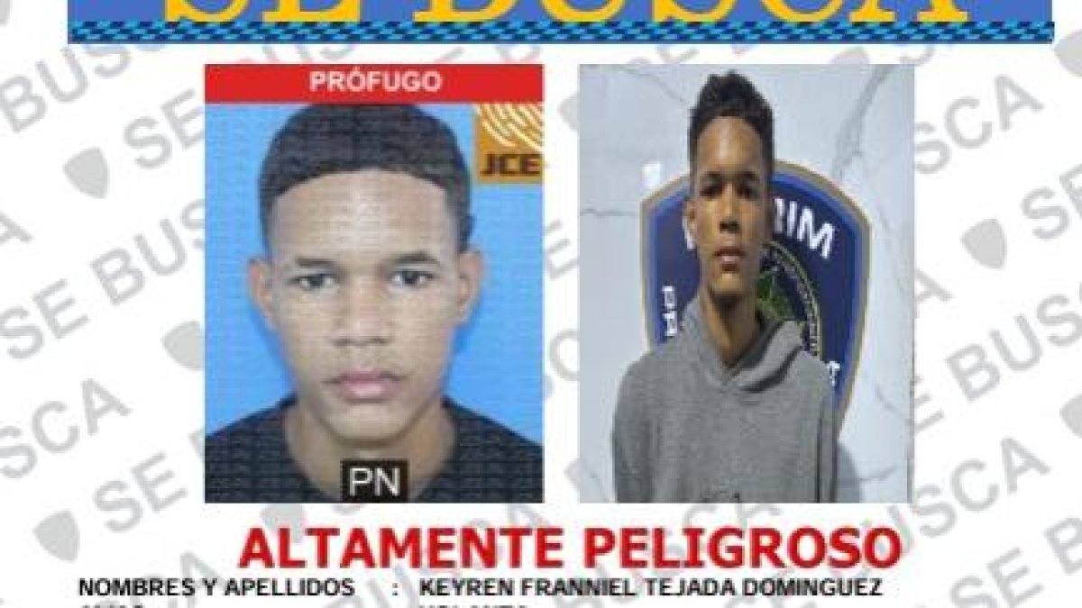 dicrim captura a dos presuntos ladrones de banda en santo domingo este