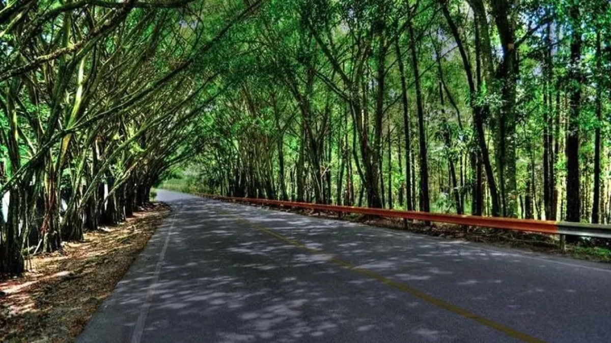 Carretera Federico Basilis, camino a Jarabacoa.