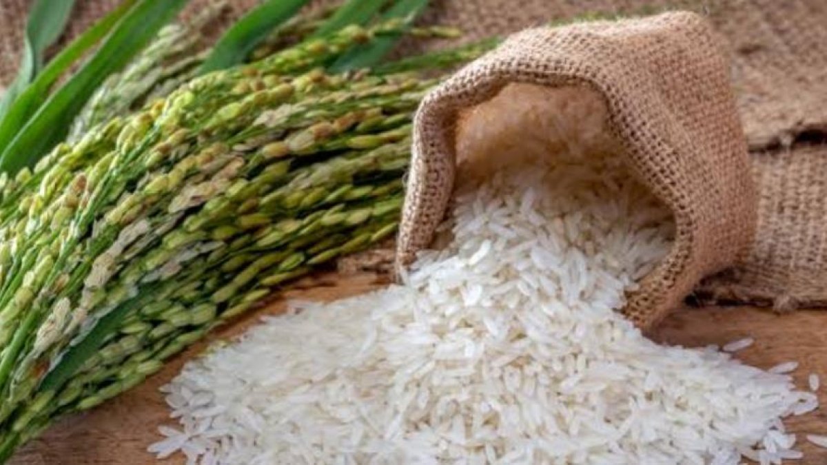 El problema del arroz