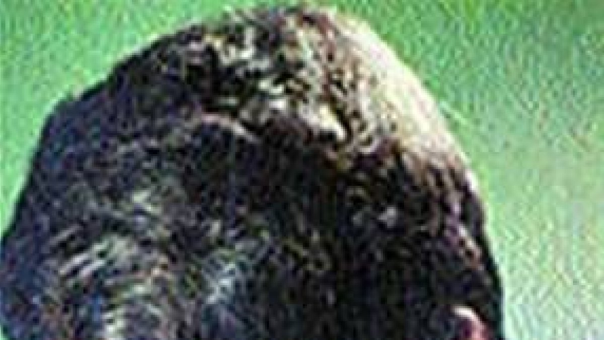 Raphael prepara gira y dos discos tras enfermedad