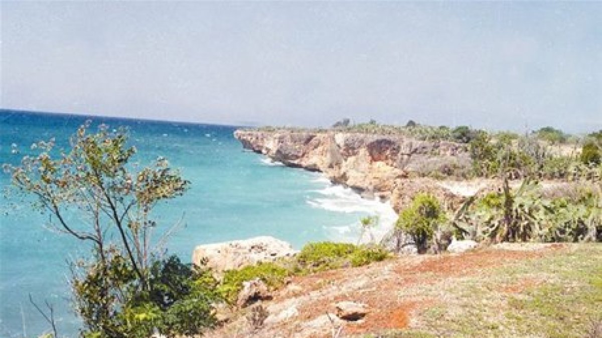 Suprema rechaza recurso contra ley