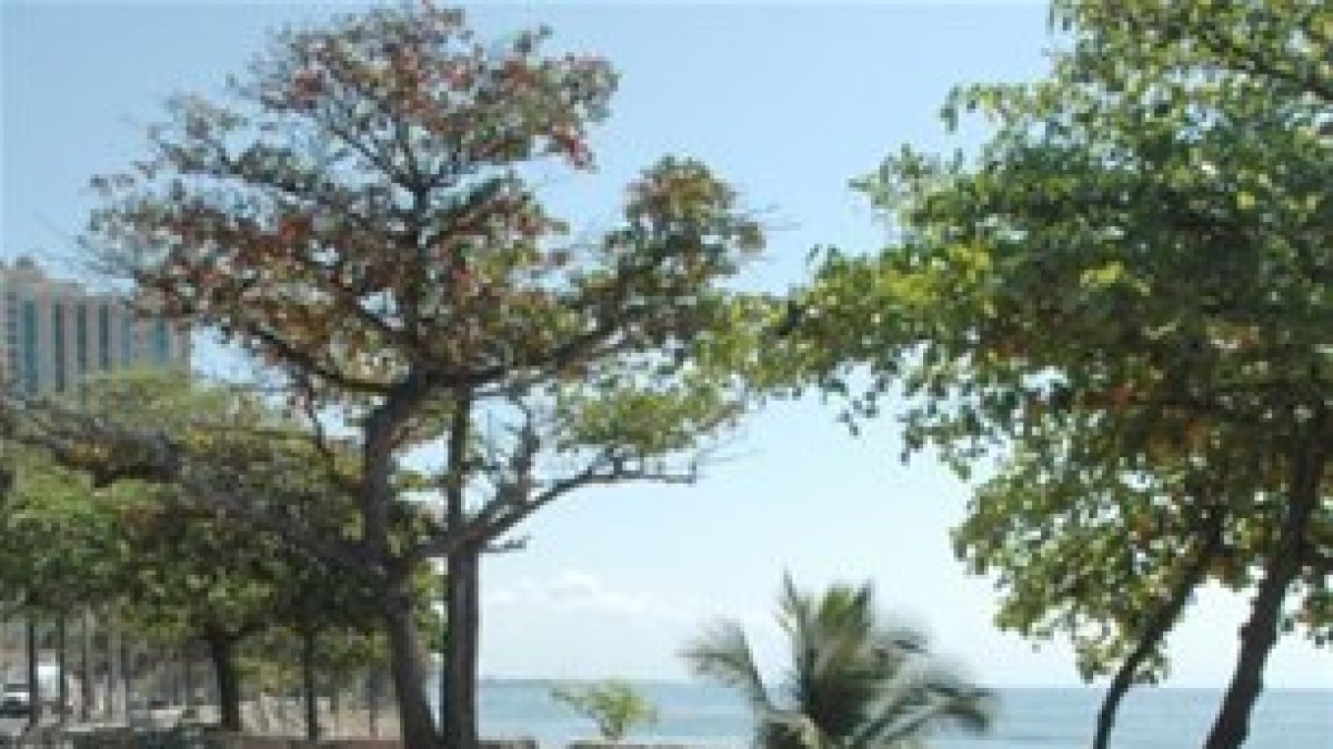 Ciriaco Ramírez, combatió decididamente a invasores franceses