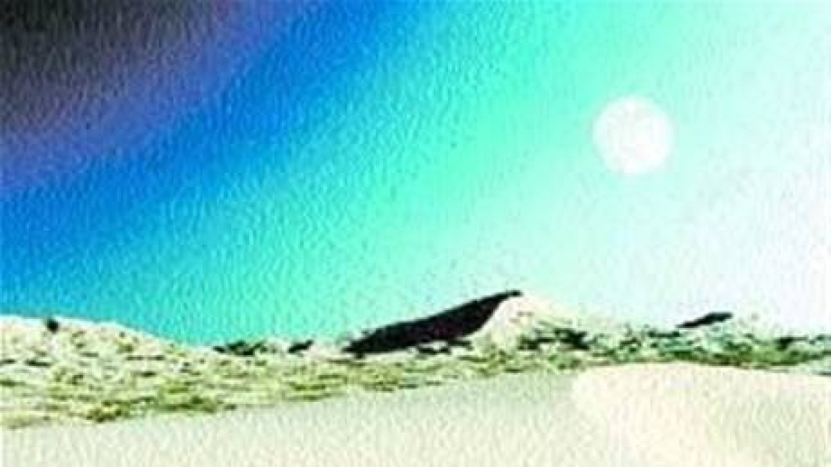 El Día Mundial de Lucha contra la Desertificación ponderó este año la frágil belleza de los desiertos