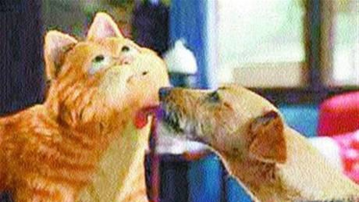 De que va la película