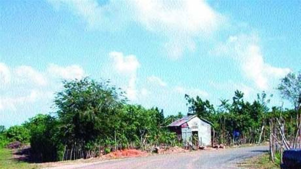 Beckenbauer no será candidato de FIFA y la UEFA