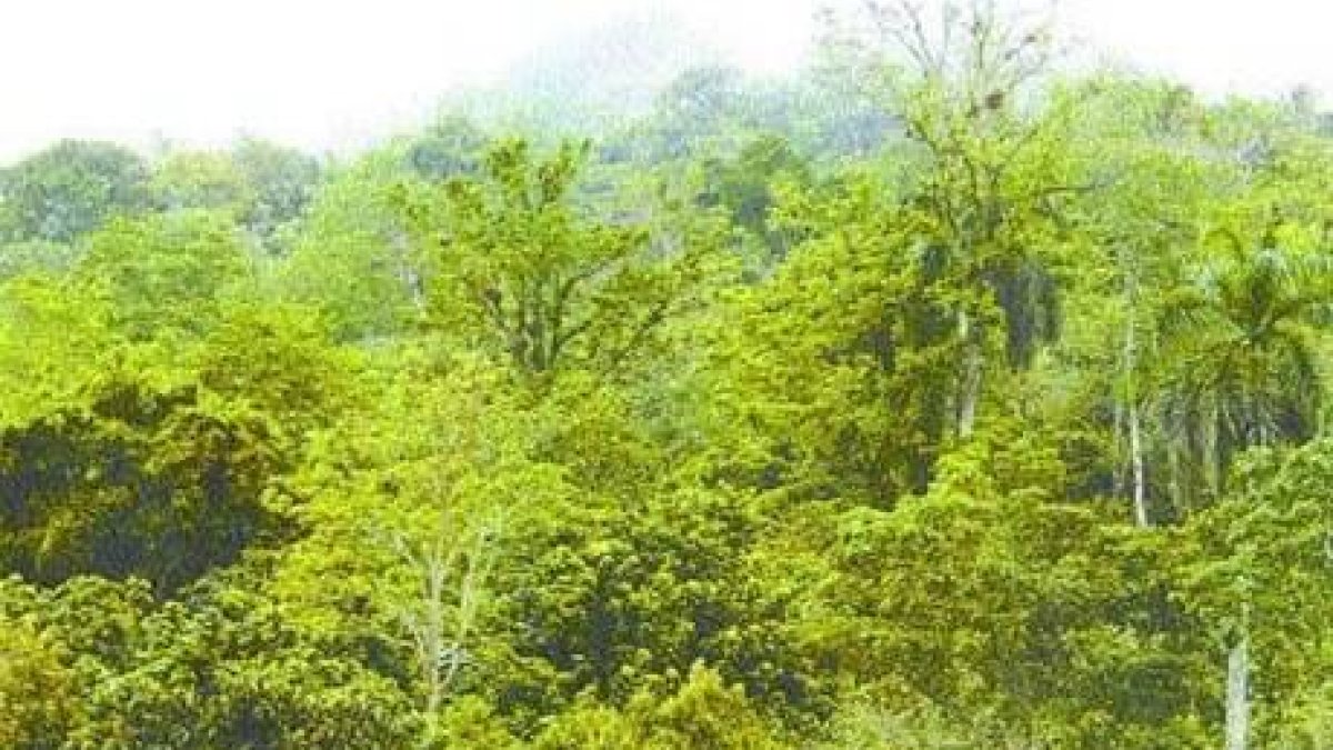 Argentina y Chile acuerdan crear reserva natural en la Patagonia