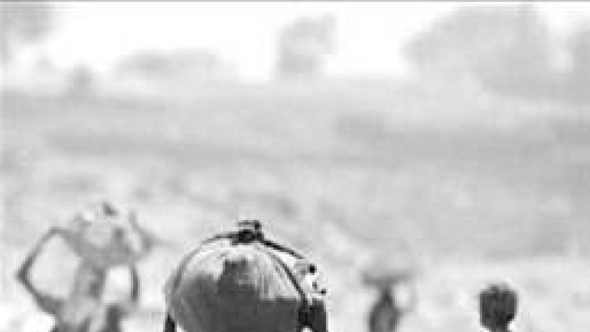 Japón proponeReducir en 50% gases invernadero