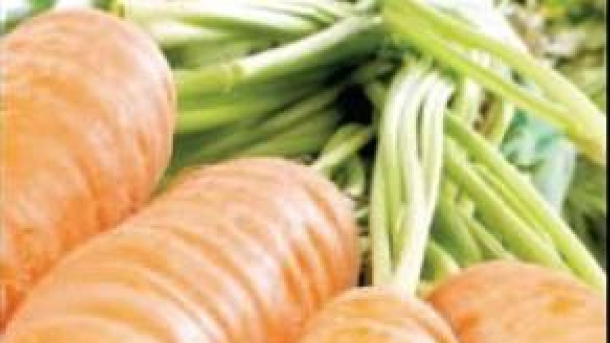¿Por qué  consumir zanahorias?