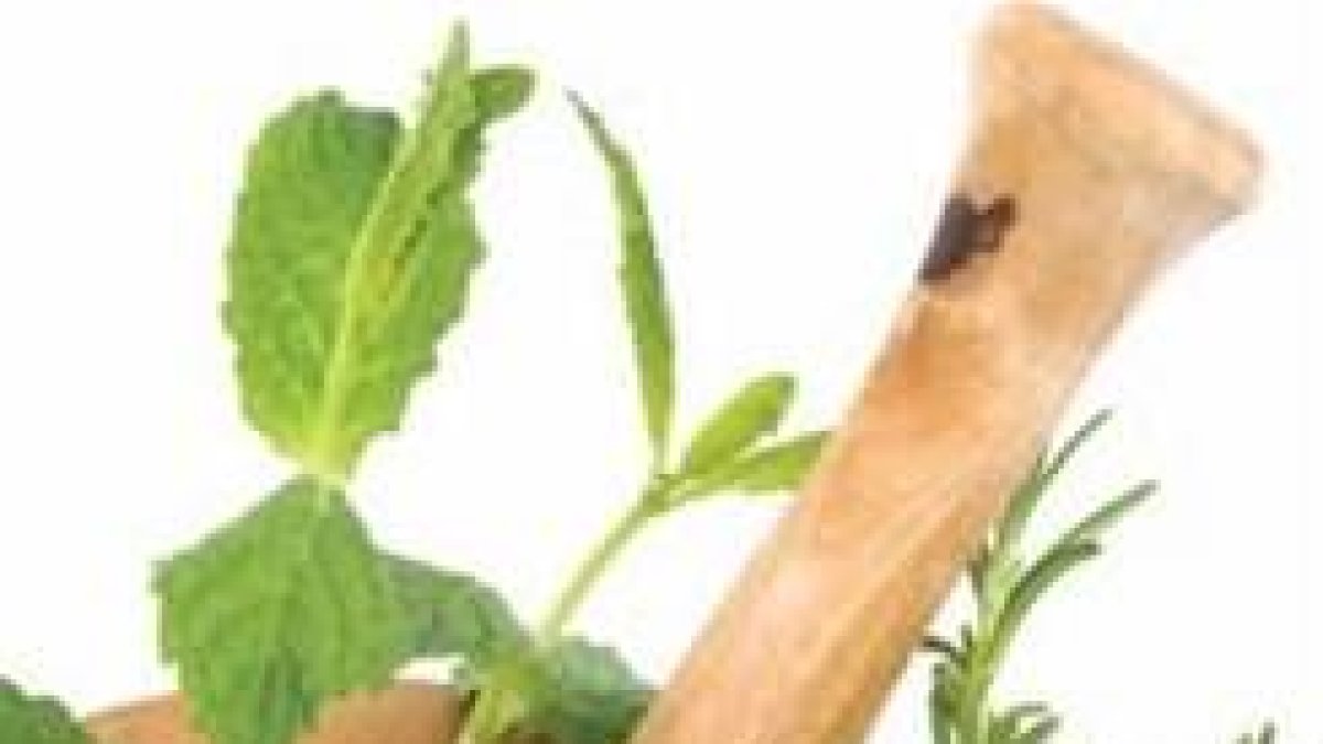 Condimentando con hierbas