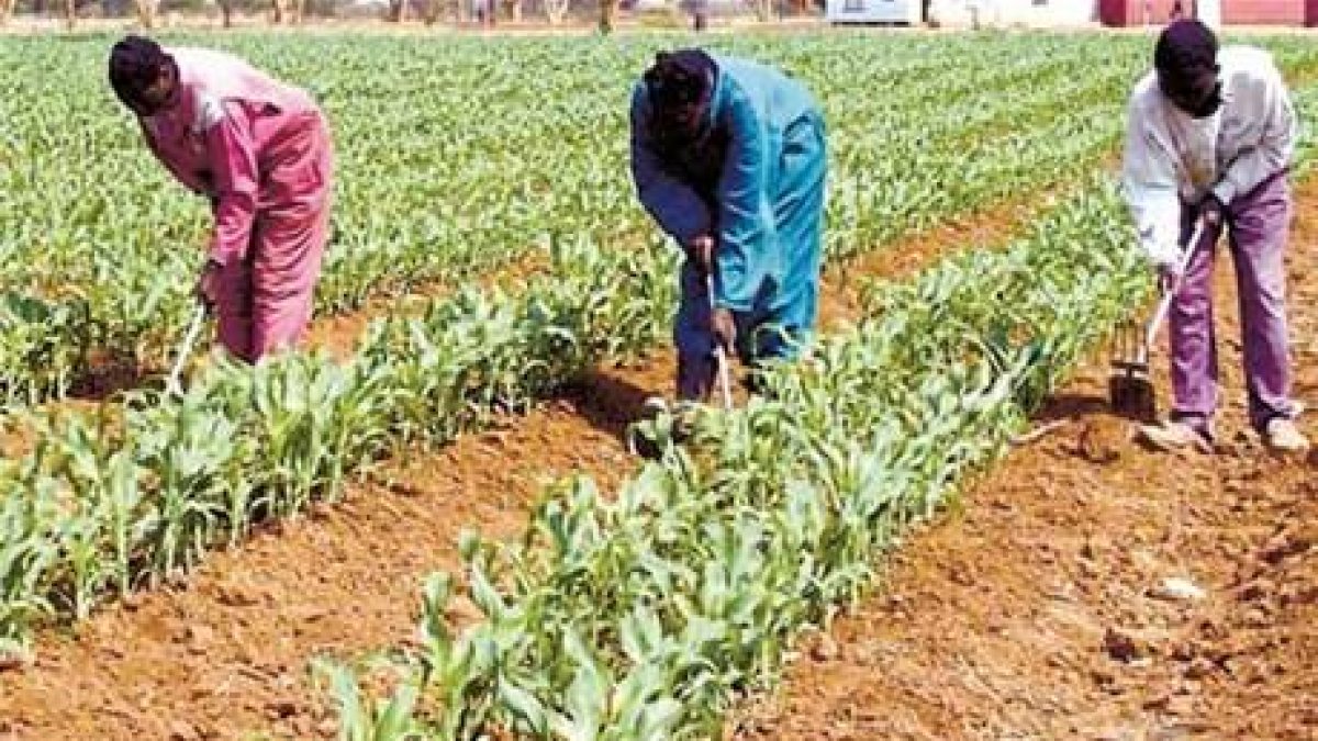 Obreros de la construcción laboran sin condiciones