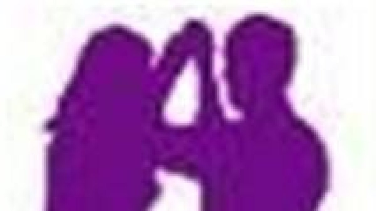 Bailarines de 20 países en competencia  de salsa en PR