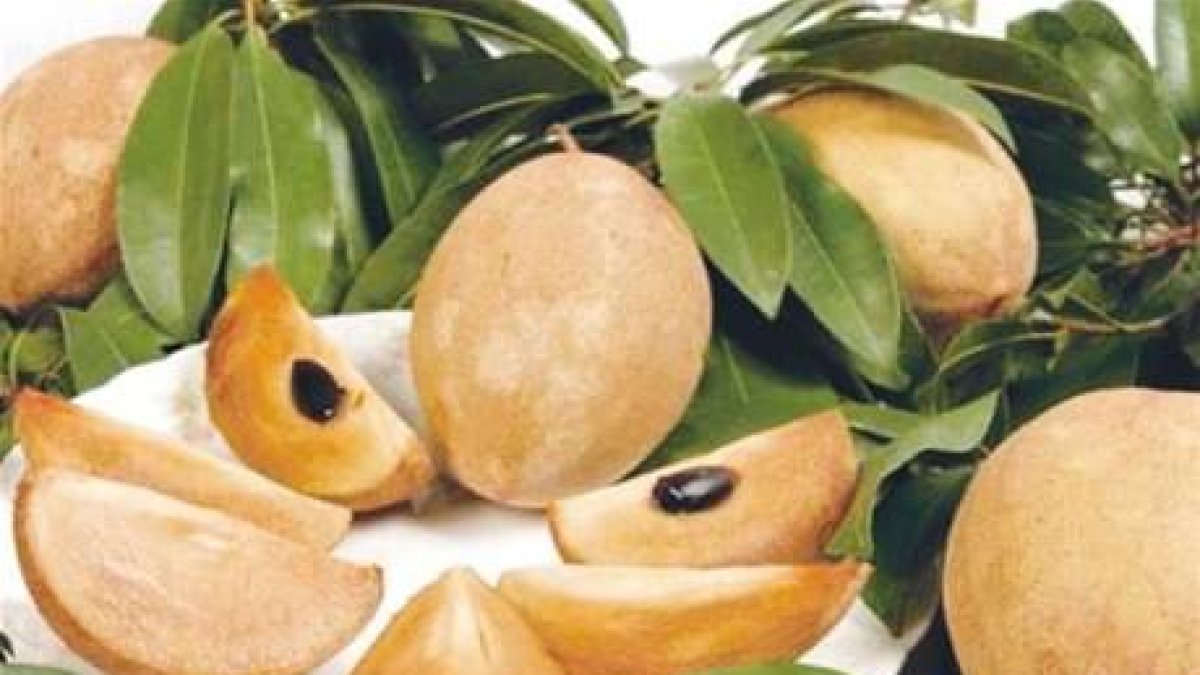 El níspero, una fruta con múltiples propiedades