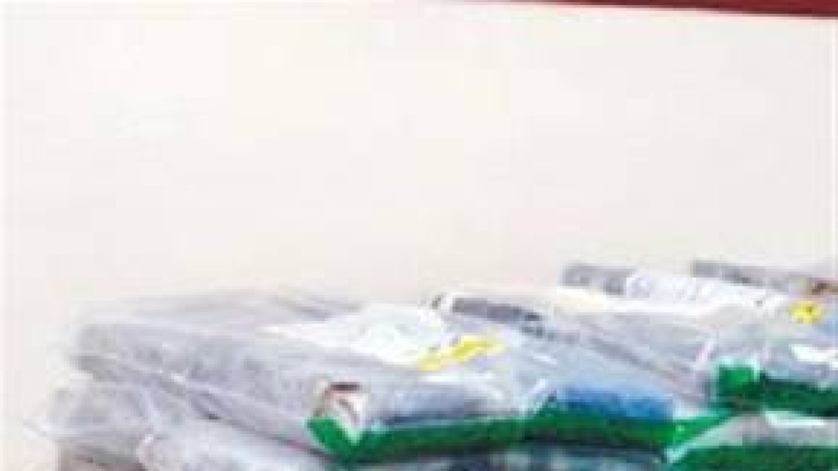DNCD ocupa 130 kilos de droga y apresa a seis