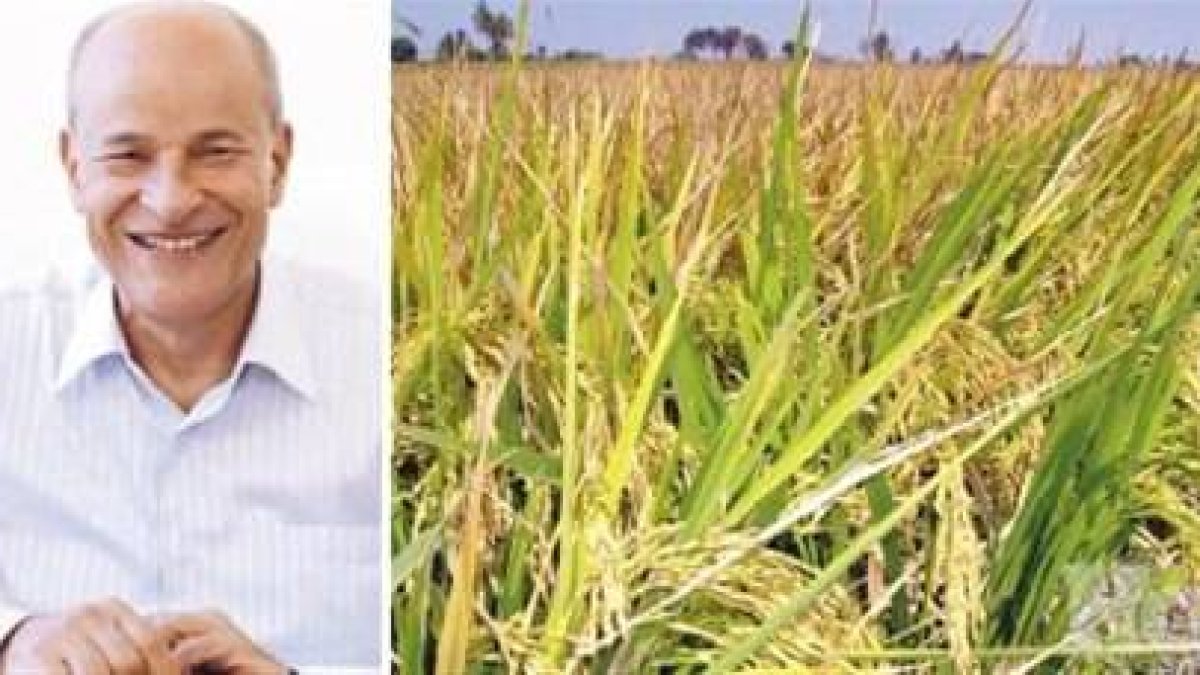 Inventor Barbary Plante lloró de felicidad día descubrió técnica