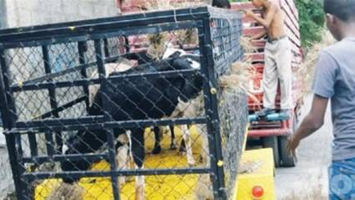 Familiares del homicida del fiscal lo defienden