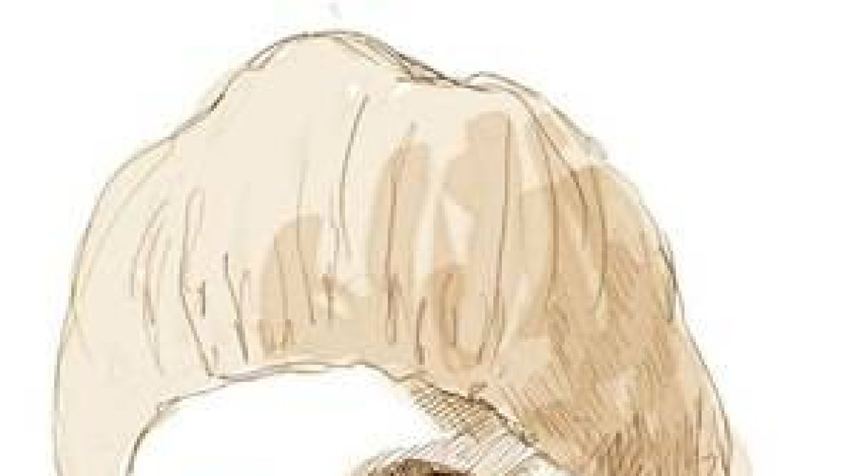 Nostalgias de Leonardo Favio