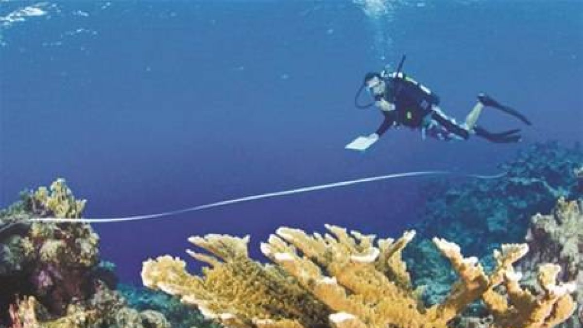 Banco de la Plata; tesoro desprotegido