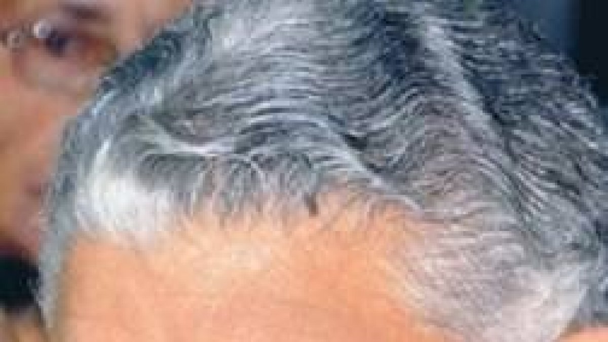 Miguel Vargas se querella contra dos diputados