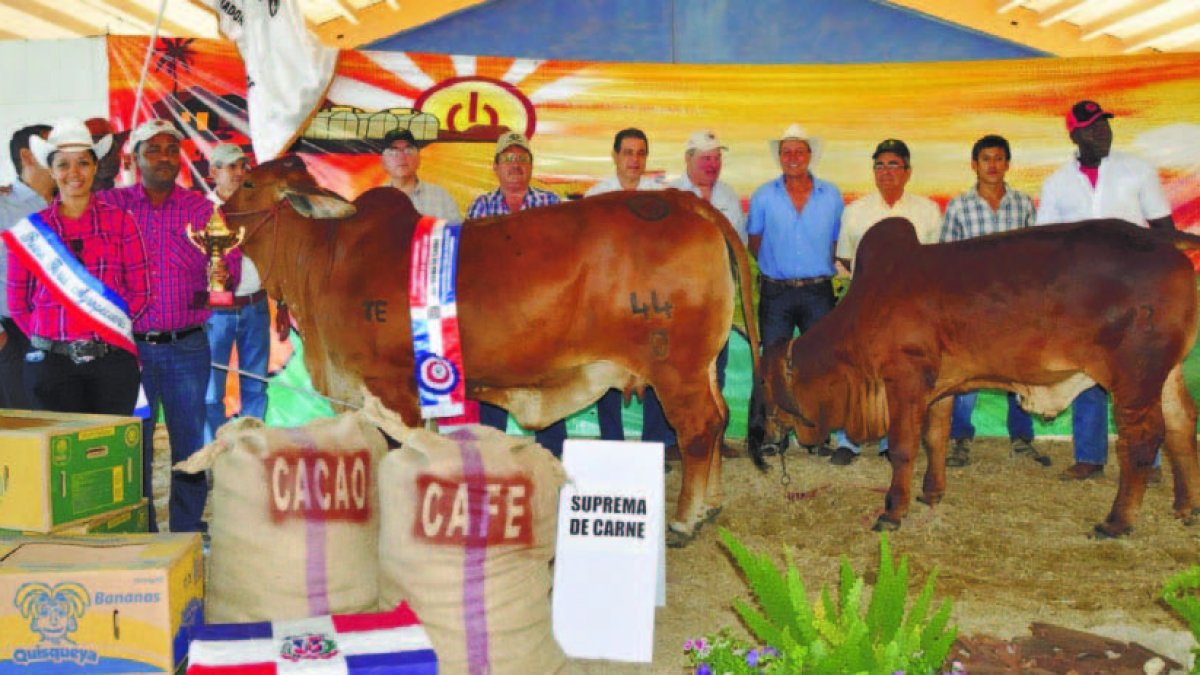 El ejemplar de la raza Brahman que resultó ganadora del premio Suprema de la Feria Agropecuaria