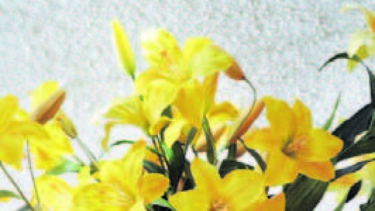 Constanza es productor flores