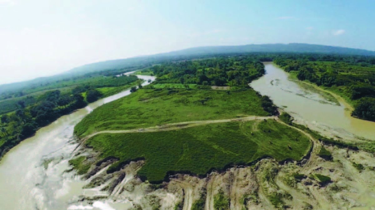 La extracción de arena y la destrucción de humedales y manglares provocan desastre a la ecología