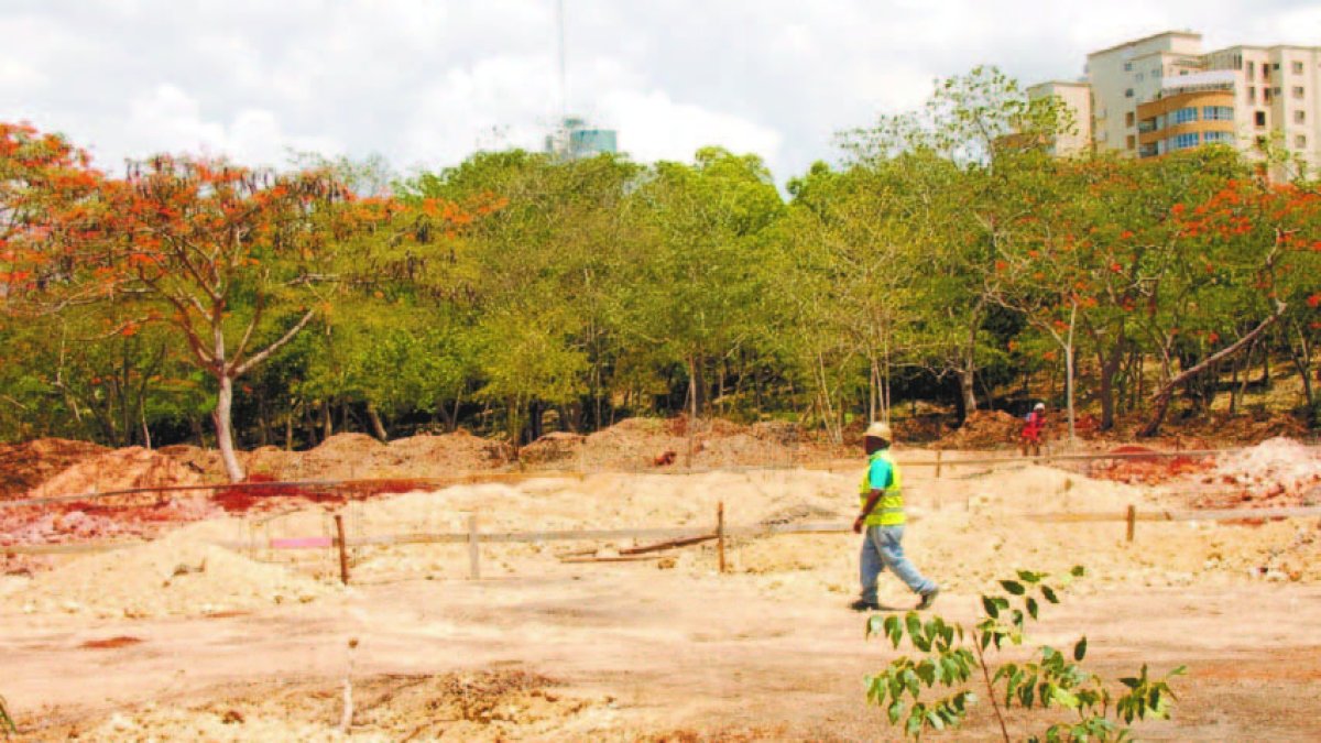Para construir la planta ha sido deforestada   un área por donde se ejercitan muchos ciudadanos
