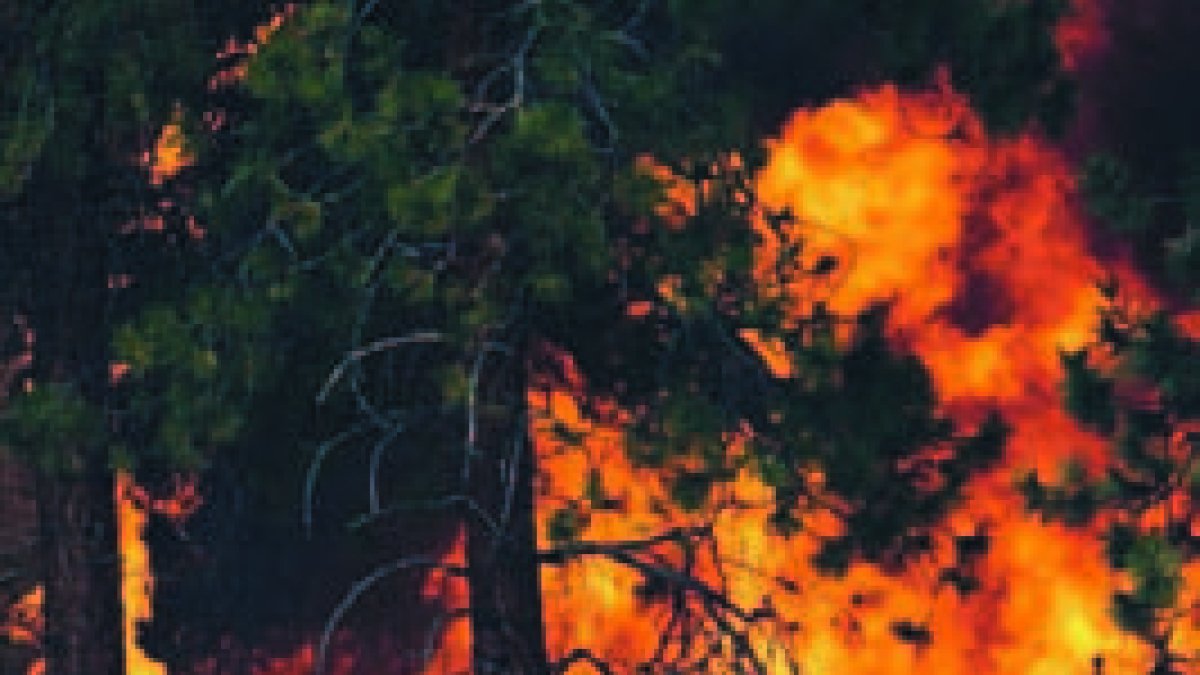Sigue fuera de control incendio en Washington